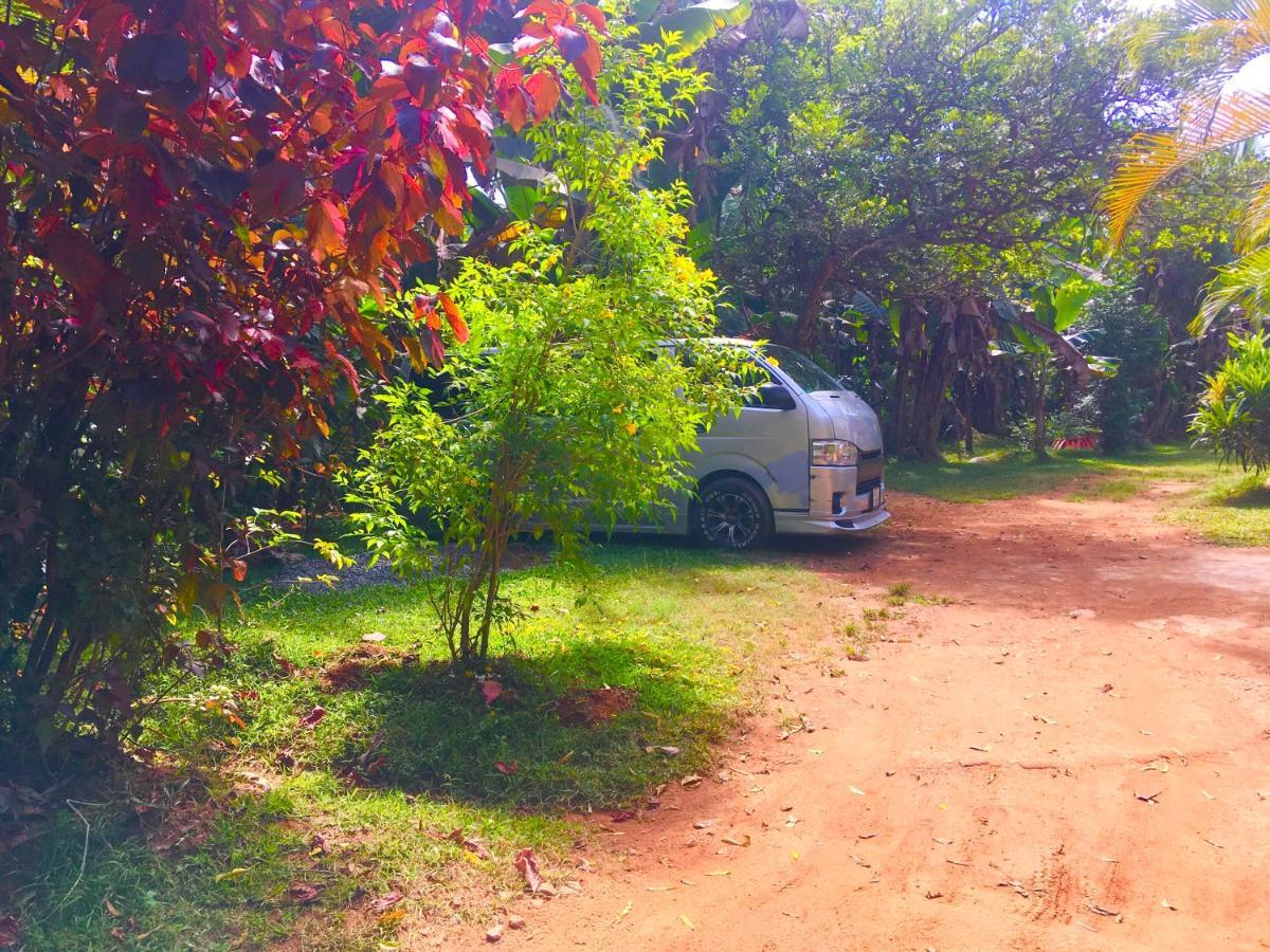 Arachchi Guest House Mirissa Exteriör bild